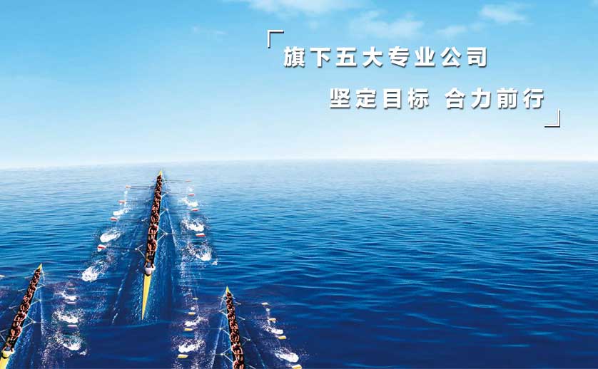 專業公司
